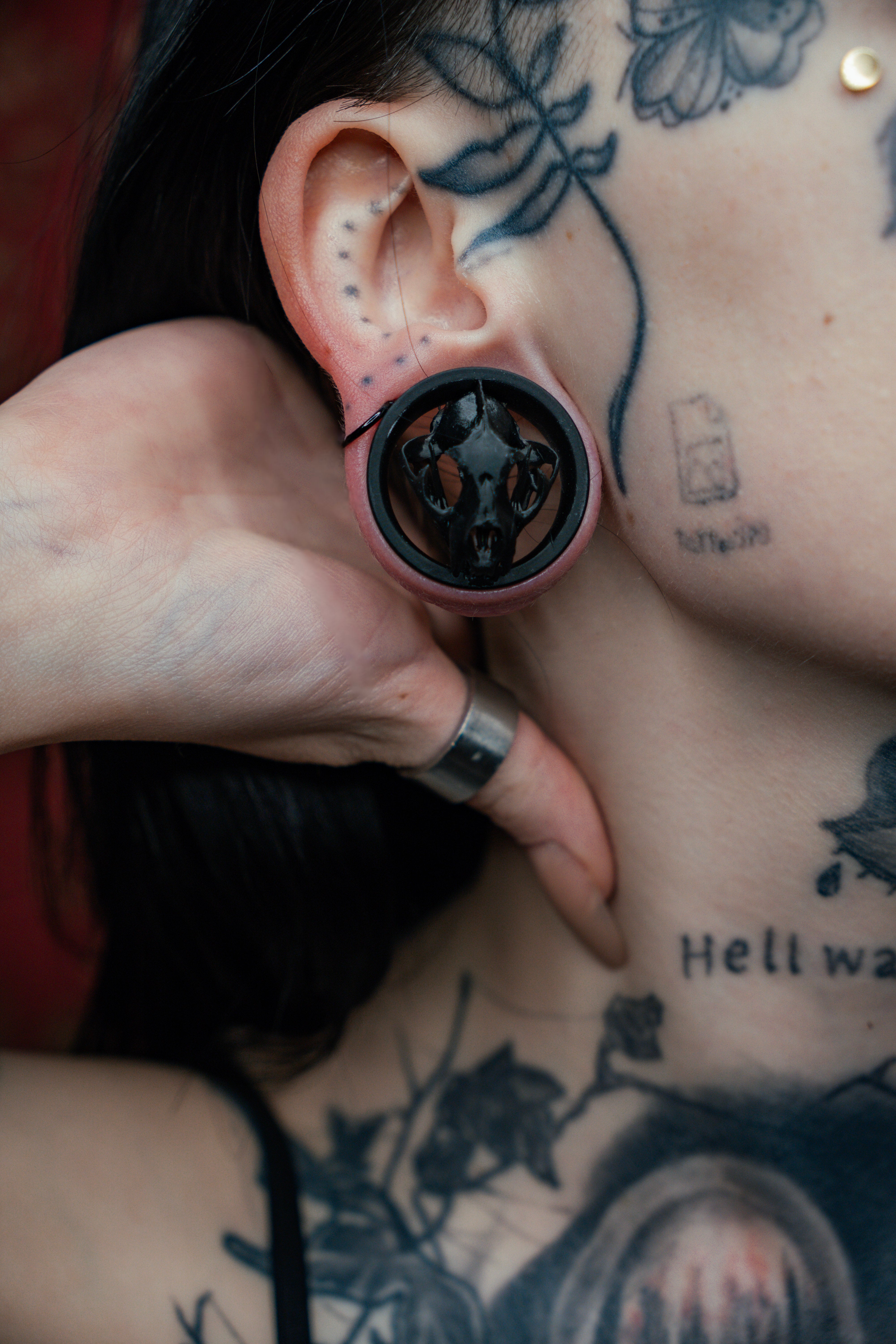One Pair of Mammal Skull Tunnels
