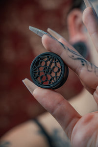 One Pair of Transmutations Circle Tunnels