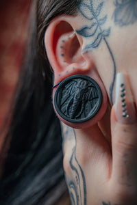 One Pair of Elephant Tunnels