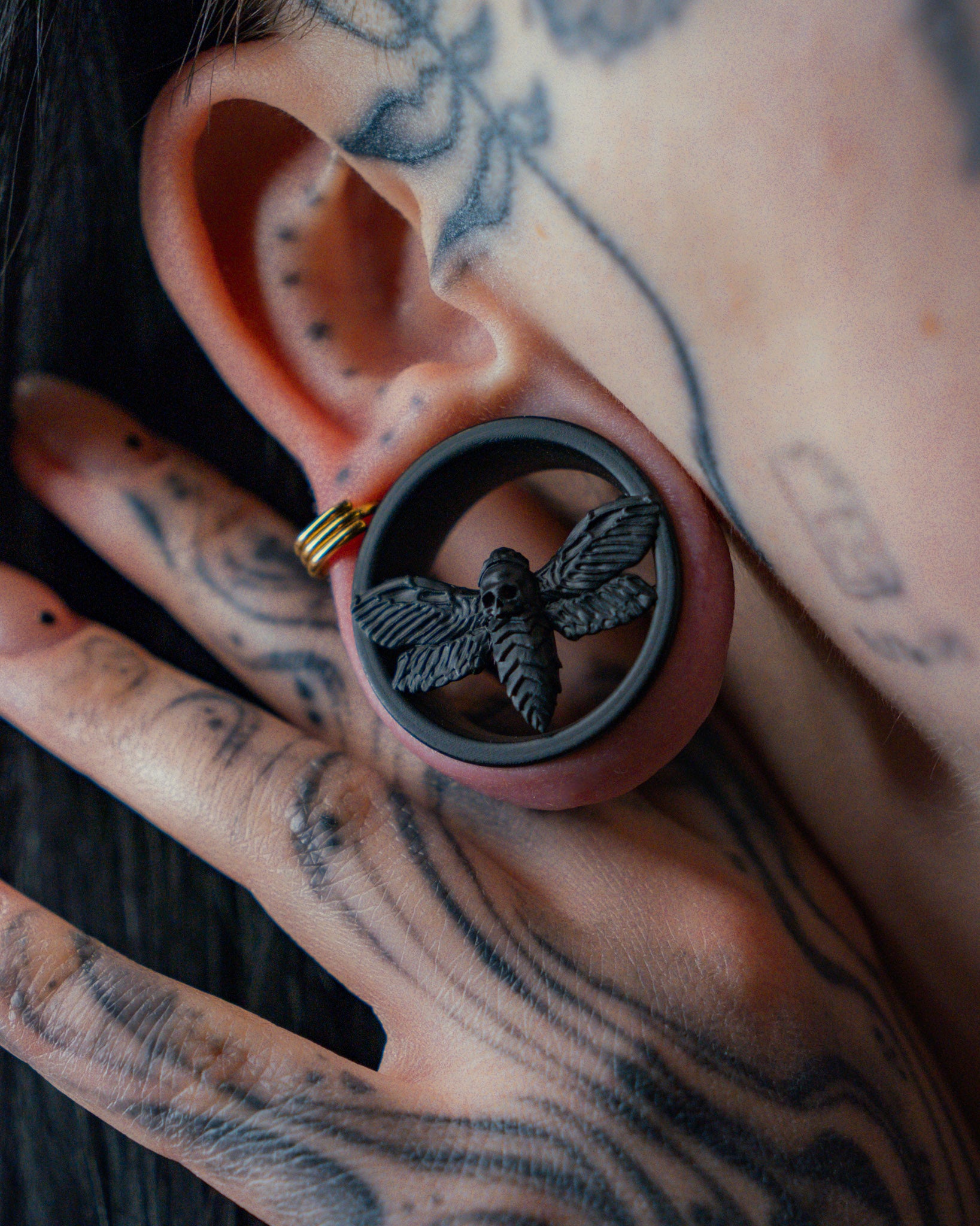 One Pair of Moth Tunnels