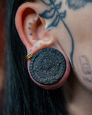 One Pair of Maya Calender Tunnels