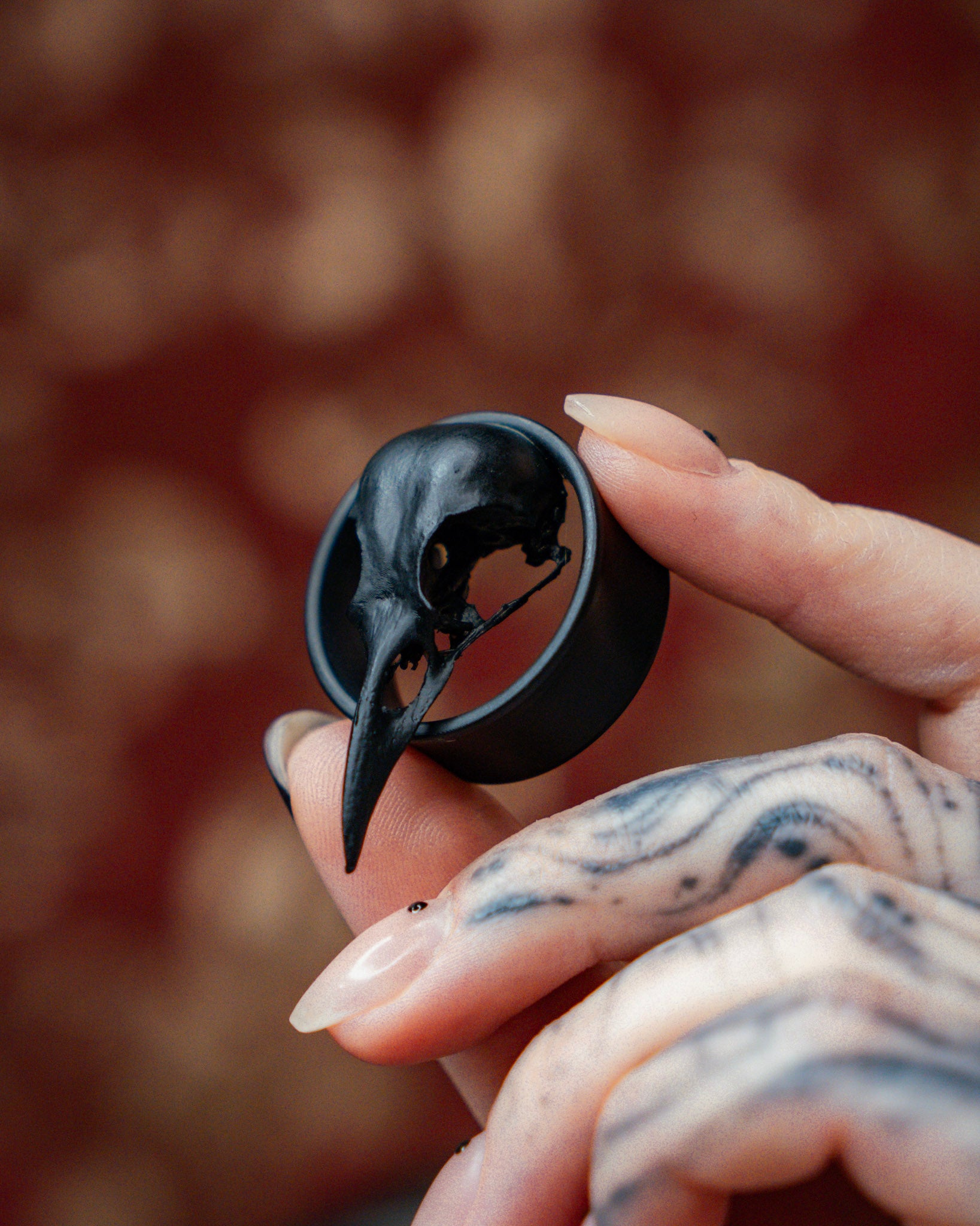 One Pair of Crow Skull Tunnels